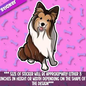 Collie- Rough Coat