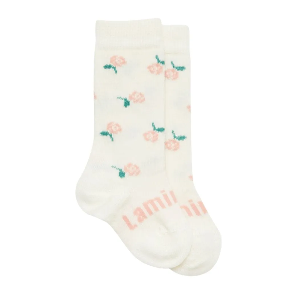 Lamington - Knee High Merino Socks