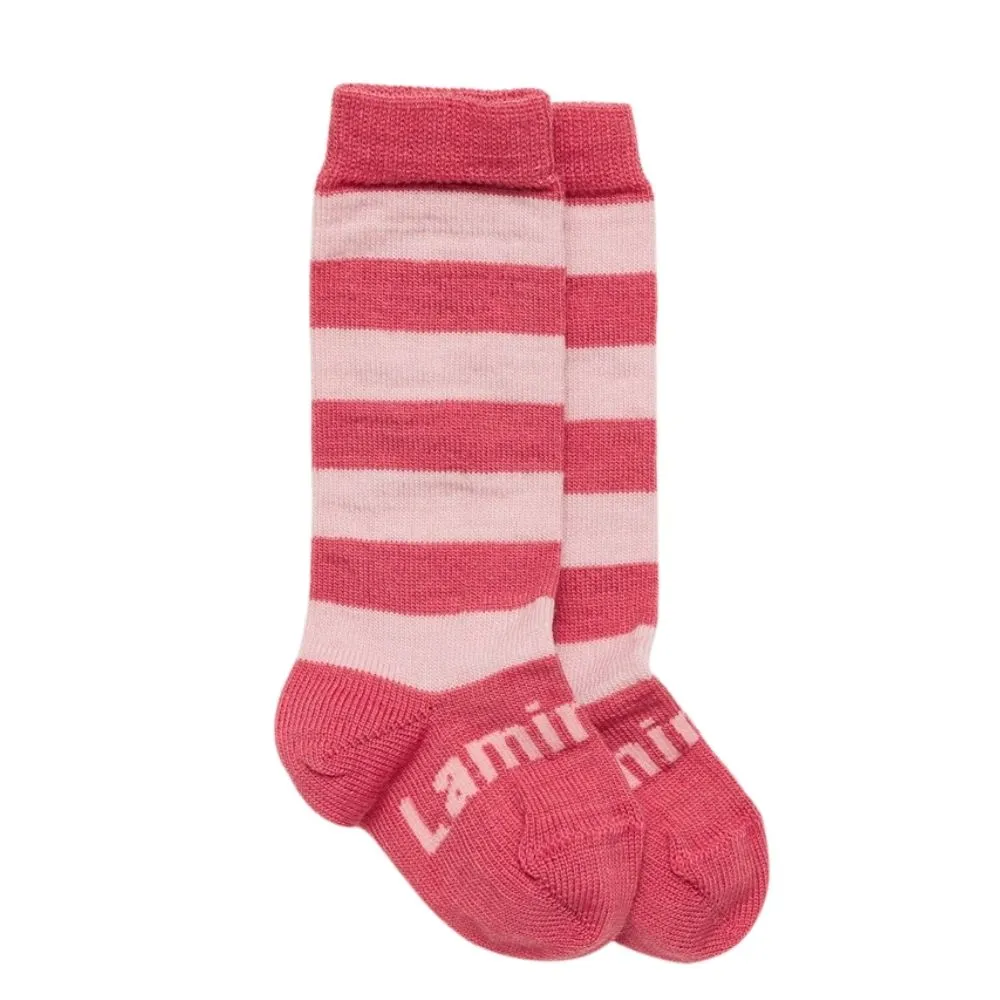 Lamington - Knee High Merino Socks